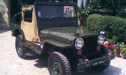 willys jeep for sale